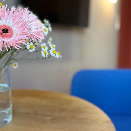 Trendy, Creative&charming Meet Hip&central