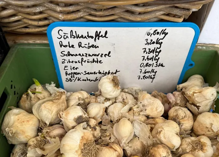 Trendy, Creative&charming Meet Hip&central