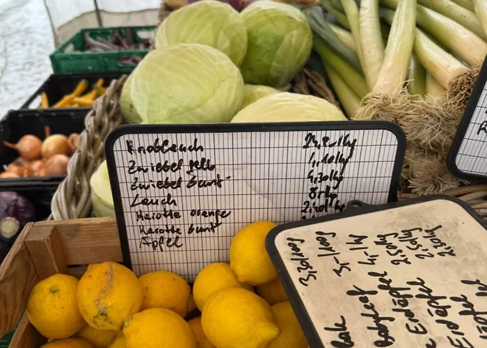 Trendy, Creative&charming Meet Hip&central